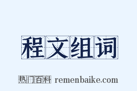 程文组词是什么意思的图片